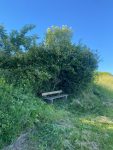Ruhebank mit Blick auf Hohenhausen