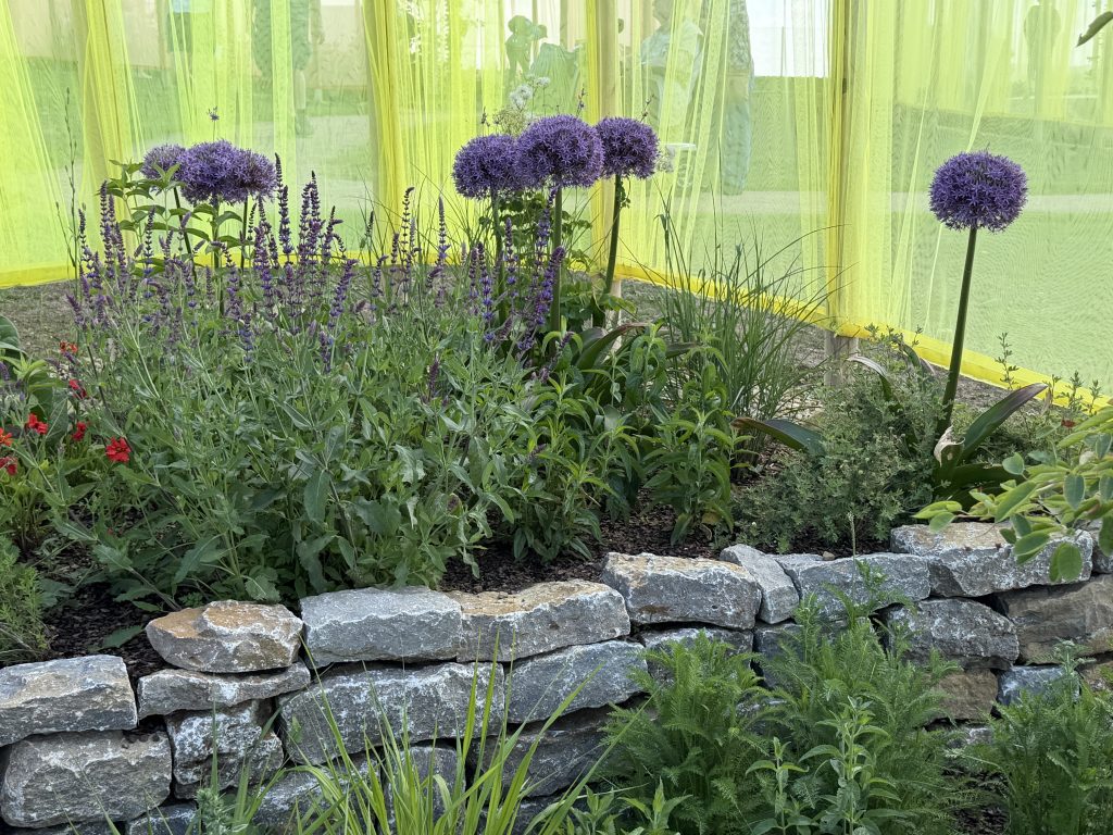 Blick in Gartenanlage