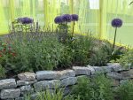 Blick in Gartenanlage